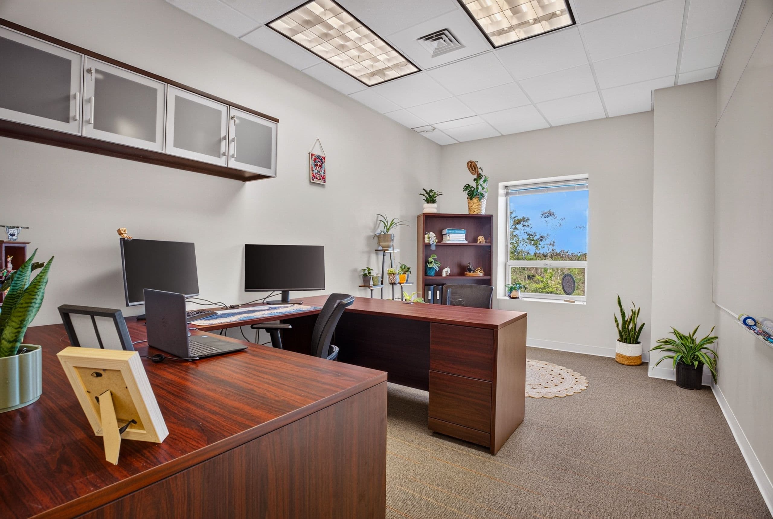 A staff office with a wood desk, two monitors and plants by the window
