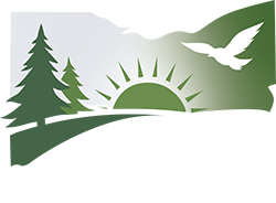 The Ohio Recovery Collective